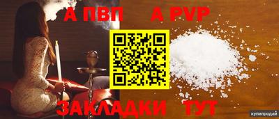СК Донской