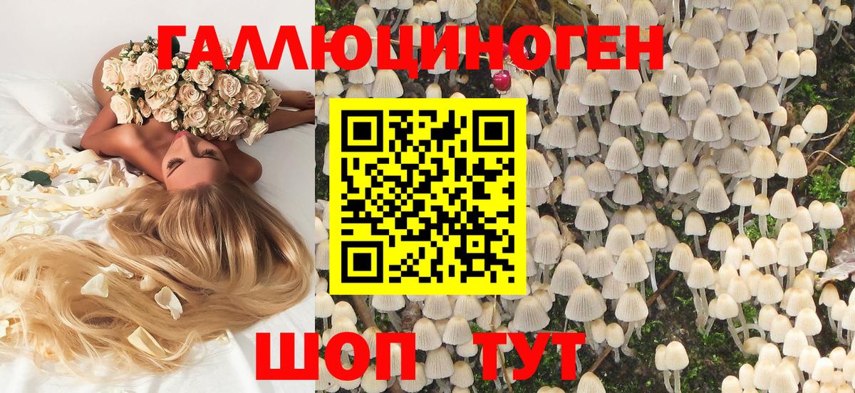 Галлюциногенные грибы Magic Shrooms Люберцы